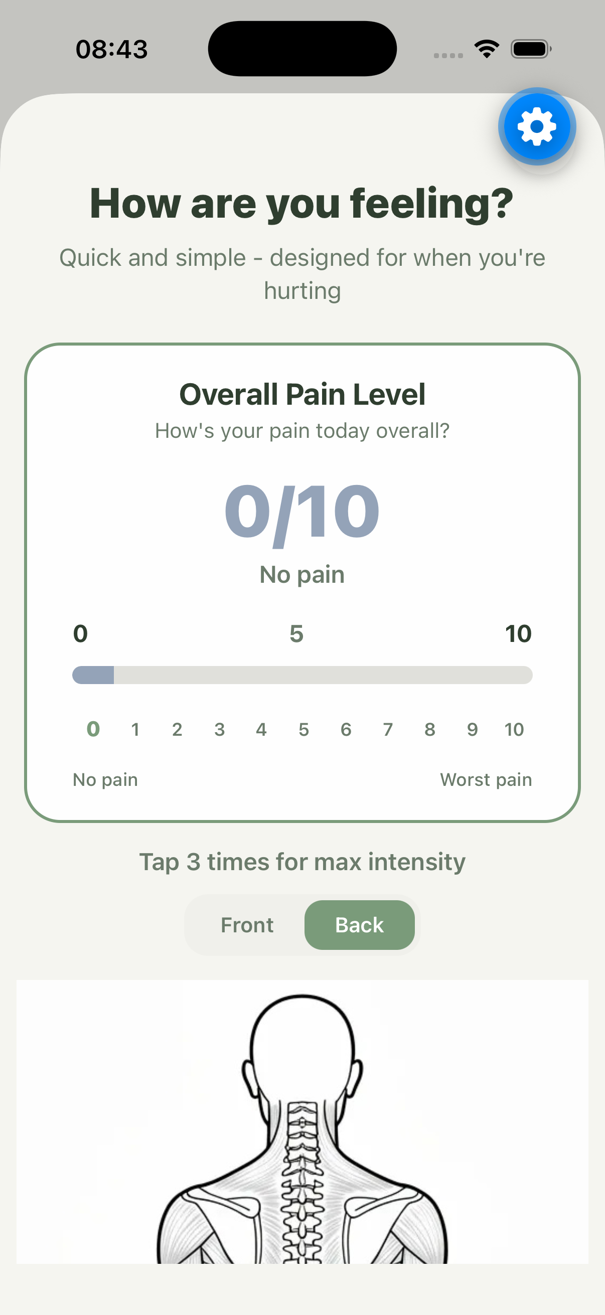 Pain logging interface with body map